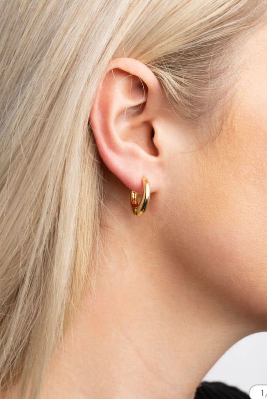Bold Round Hoop Earrings – Fayra Jewels