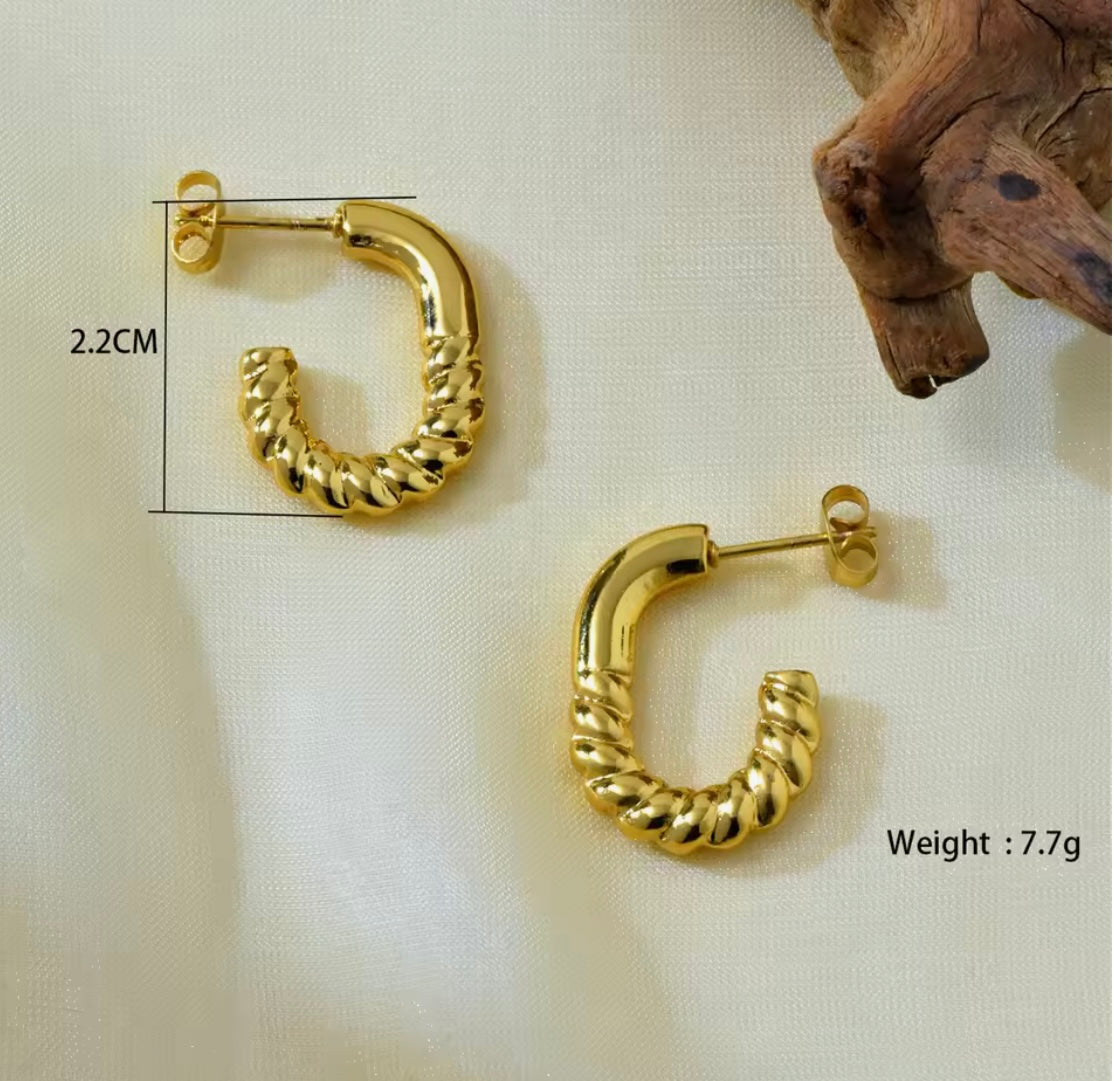 Golden Twisted Hoop Earrings – Fayra Jewels