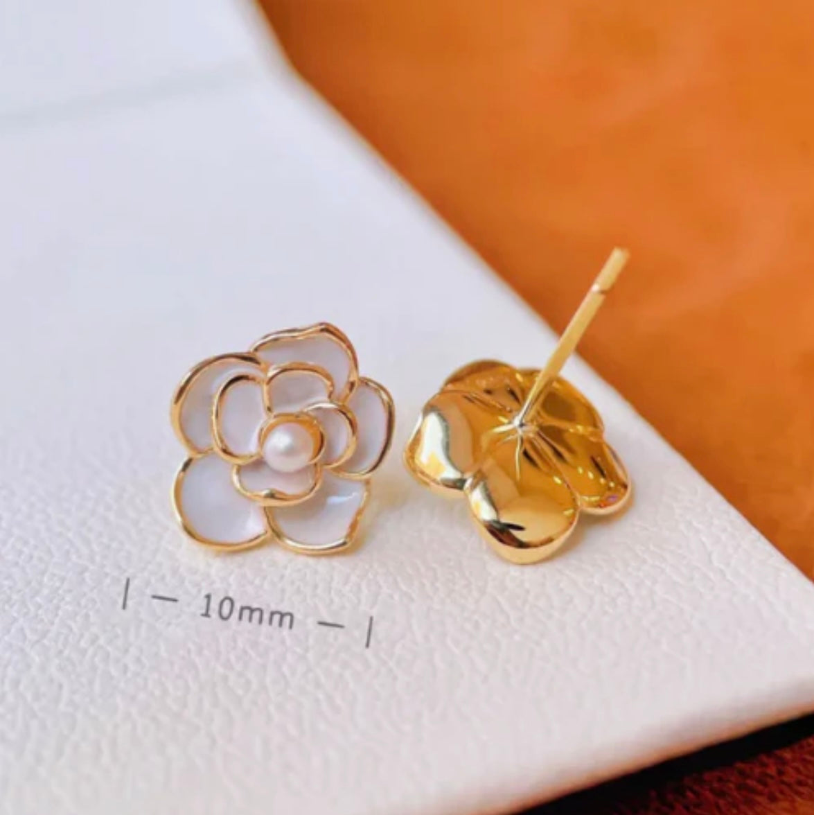 Pretty white camellia